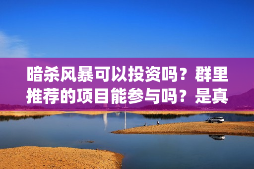 暗杀风暴可以投资吗？群里推荐的项目能参与吗？是真的吗？(暗杀风暴片花)