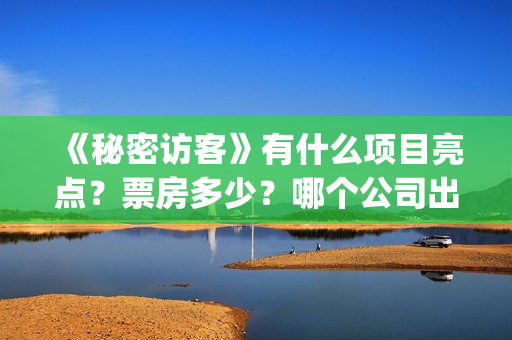 《秘密访客》有什么项目亮点？票房多少？哪个公司出品的？(秘密访客再讲什么)
