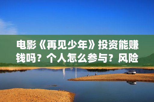 电影《再见少年》投资能赚钱吗？个人怎么参与？风险大不大？(电影《再见少年》演员表)