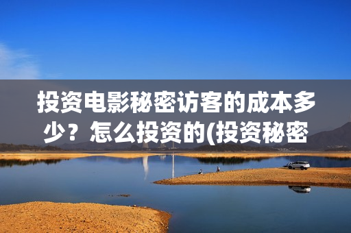 投资电影秘密访客的成本多少？怎么投资的(投资秘密访客)
