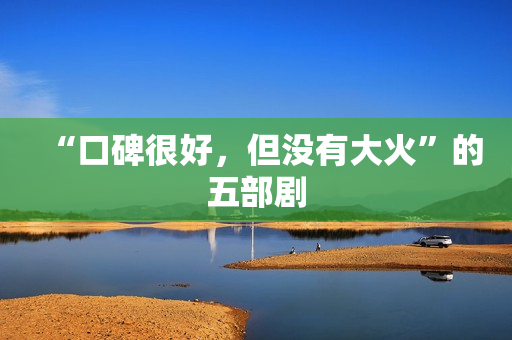 “口碑很好，但没有大火”的五部剧