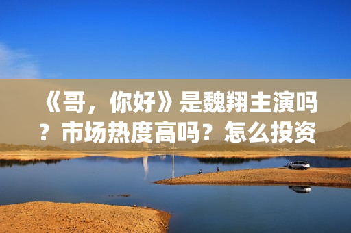 《哥，你好》是魏翔主演吗？市场热度高吗？怎么投资认购？分账快吗？(鹩哥你好mp3)