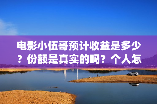 电影小伍哥预计收益是多少？份额是真实的吗？个人怎么投资？(小伍哥电影百度百科)