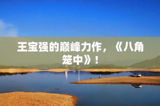 王宝强的巅峰力作，《八角笼中》！