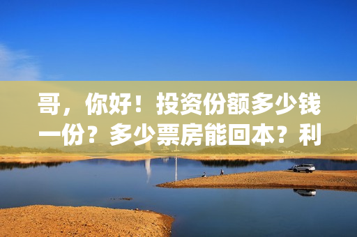 哥，你好！投资份额多少钱一份？多少票房能回本？利润高吗？(你好哥哥语音)