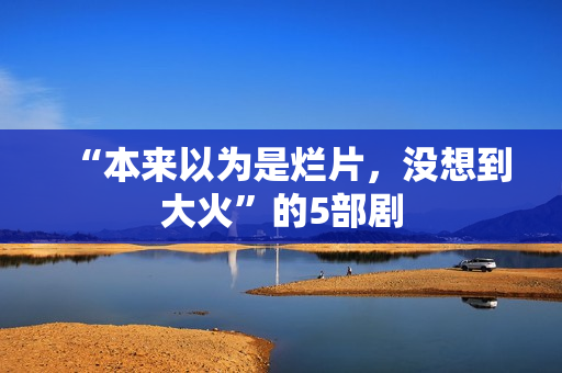 “本来以为是烂片，没想到大火”的5部剧