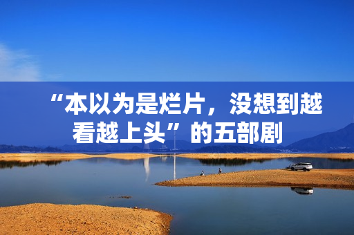 “本以为是烂片，没想到越看越上头”的五部剧