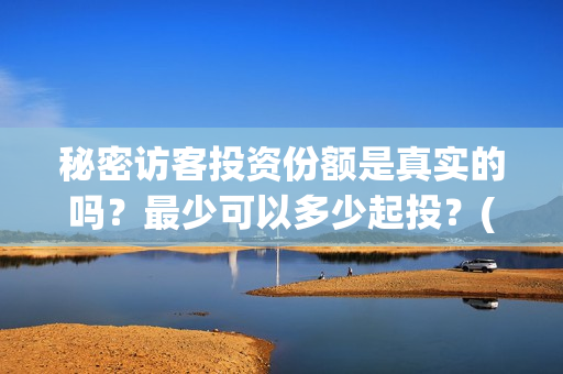 秘密访客投资份额是真实的吗？最少可以多少起投？(秘密访客投资成本)