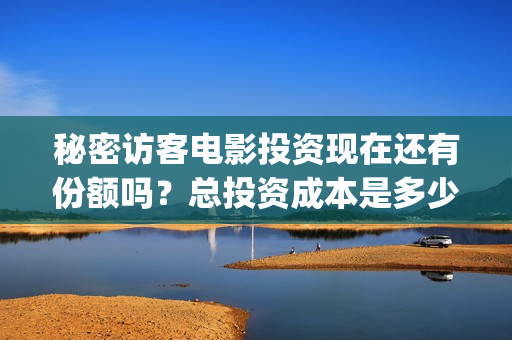 秘密访客电影投资现在还有份额吗？总投资成本是多少？(秘密访客电影预告)