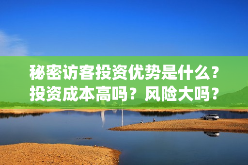 秘密访客投资优势是什么？投资成本高吗？风险大吗？(秘密访客投资门槛高吗?)