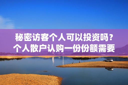 秘密访客个人可以投资吗？个人散户认购一份份额需要多少钱？(秘密访客访客是谁)