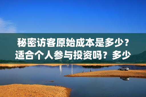 秘密访客原始成本是多少？适合个人参与投资吗？多少钱一份？(秘密访客原型是哪本书)