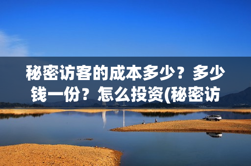 秘密访客的成本多少？多少钱一份？怎么投资(秘密访客说什么的)