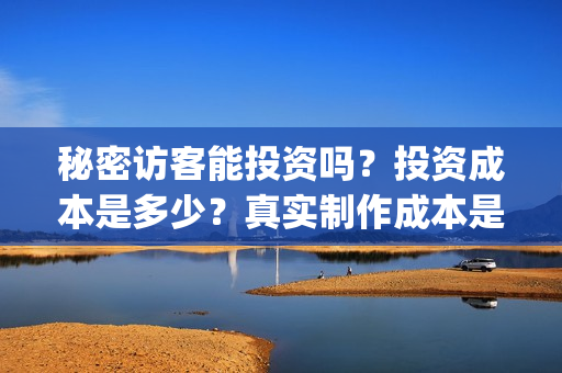 秘密访客能投资吗？投资成本是多少？真实制作成本是多少？(秘密访客能投资什么)