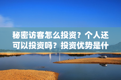 秘密访客怎么投资？个人还可以投资吗？投资优势是什么？(秘密访客怎么投资)