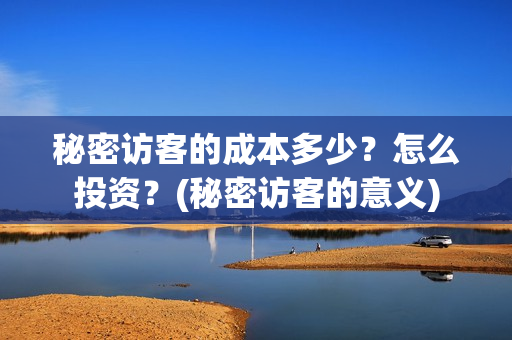 秘密访客的成本多少？怎么投资？(秘密访客的意义)