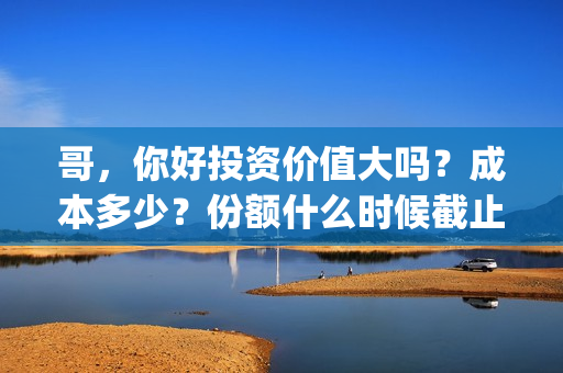 哥，你好投资价值大吗？成本多少？份额什么时候截止？(歌曲哥哥你好)