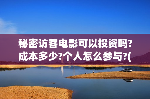 秘密访客电影可以投资吗?成本多少?个人怎么参与?(秘密访客电影啥意思)