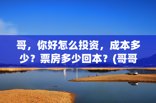 哥，你好怎么投资，成本多少？票房多少回本？(哥哥你好牛)