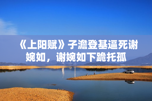 《上阳赋》子澹登基逼死谢婉如，谢婉如下跪托孤