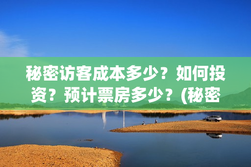 秘密访客成本多少？如何投资？预计票房多少？(秘密访客总投资多少)