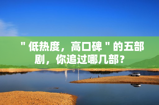 ＂低热度，高口碑＂的五部剧，你追过哪几部？