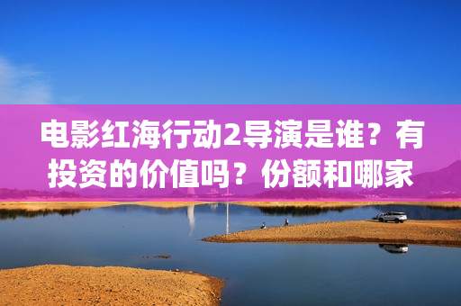 电影红海行动2导演是谁？有投资的价值吗？份额和哪家公司认购？(电影红海行动2图片)