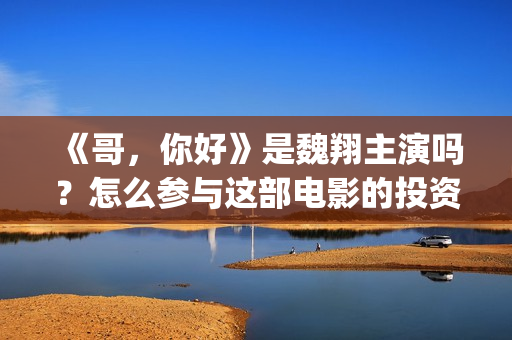 《哥，你好》是魏翔主演吗？怎么参与这部电影的投资？收益有保障吗？(鹩哥你好)