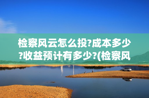 检察风云怎么投?成本多少?收益预计有多少?(检察风云这部电影如何)
