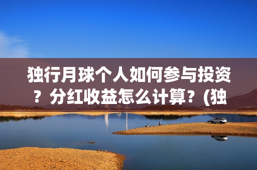 独行月球个人如何参与投资？分红收益怎么计算？(独行月球结局什么意思)