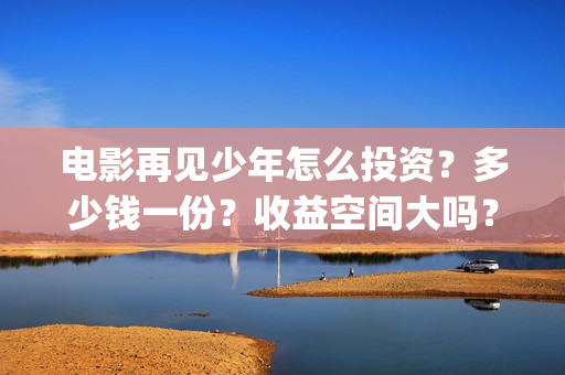 电影再见少年怎么投资？多少钱一份？收益空间大吗？(再见少年电影啥意思)