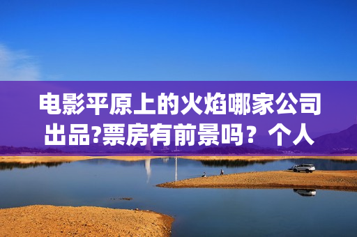 电影平原上的火焰哪家公司出品?票房有前景吗？个人参与投资有风险吗(平原上的火焰15秒预告片)