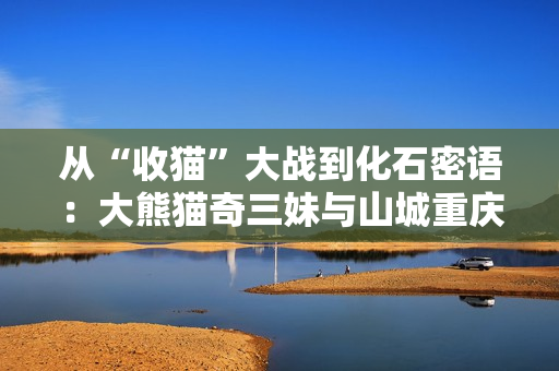 从“收猫”大战到化石密语：大熊猫奇三妹与山城重庆的生命回响