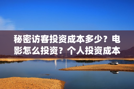 秘密访客投资成本多少？电影怎么投资？个人投资成本多少？(秘密访客的投资成本)