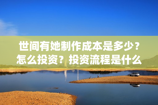 世间有她制作成本是多少？怎么投资？投资流程是什么？(世间有她什么题材)