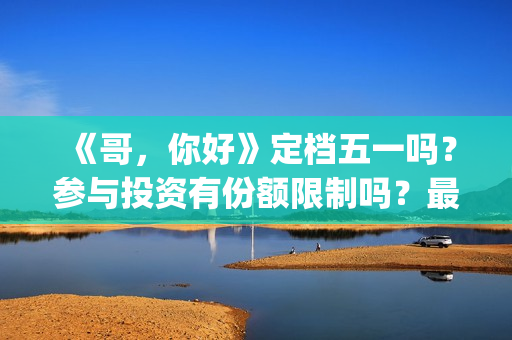 《哥，你好》定档五一吗？参与投资有份额限制吗？最低多少起投？(哥哥你好吗是什么歌)