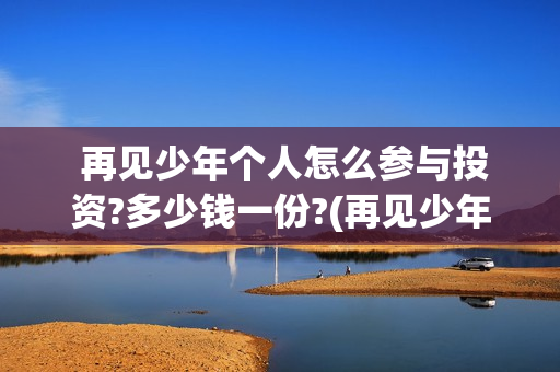  再见少年个人怎么参与投资?多少钱一份?(再见少年mv)