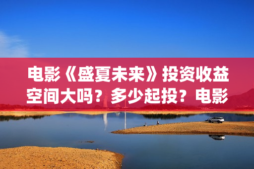 电影《盛夏未来》投资收益空间大吗？多少起投？电影投资的份额真实吗？(电影:盛夏未来)