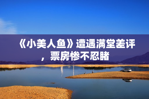 《小美人鱼》遭遇满堂差评，票房惨不忍睹