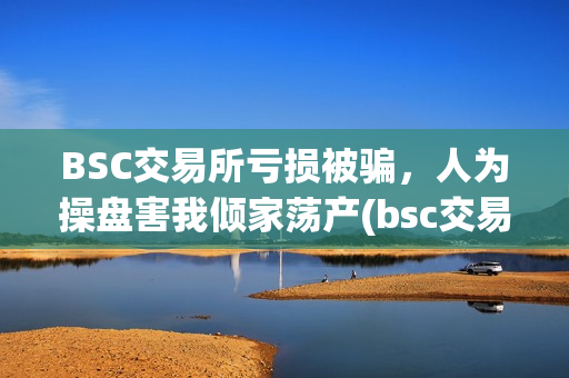 BSC交易所亏损被骗，人为操盘害我倾家荡产(bsc交易平台)