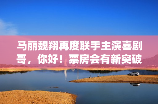 马丽魏翔再度联手主演喜剧哥，你好！票房会有新突破吗？可以投资吗？(魏翔 马丽 沈腾)