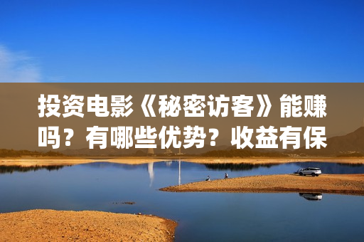投资电影《秘密访客》能赚吗？有哪些优势？收益有保障吗？(秘密电影原著)