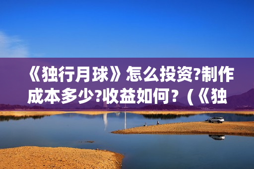 《独行月球》怎么投资?制作成本多少?收益如何？(《独行月球》怎么拍的)