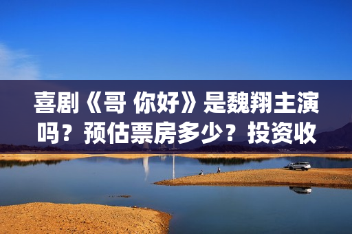 喜剧《哥 你好》是魏翔主演吗？预估票房多少？投资收益有前景吗？(鹩哥你好)