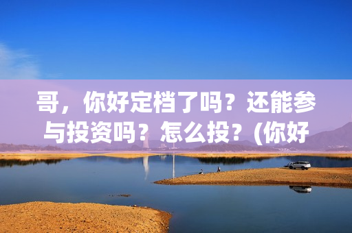 哥，你好定档了吗？还能参与投资吗？怎么投？(你好的哥)