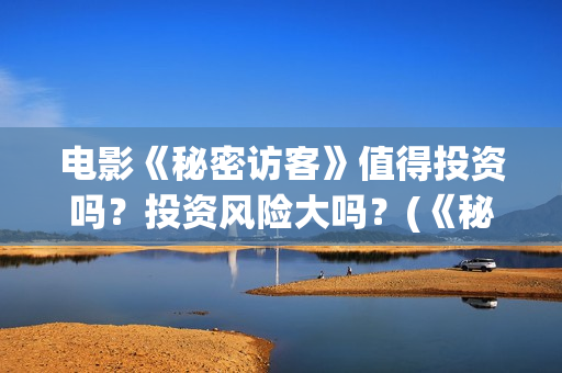 电影《秘密访客》值得投资吗？投资风险大吗？(《秘密访客》上映)