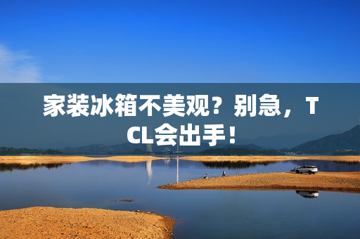 家装冰箱不美观？别急，TCL会出手！