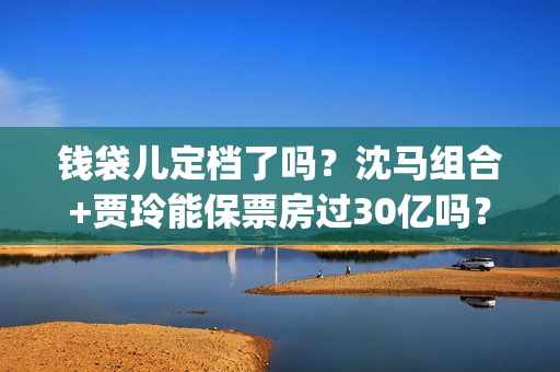 钱袋儿定档了吗？沈马组合+贾玲能保票房过30亿吗？投资门槛多少？(钱袋子app是什么)