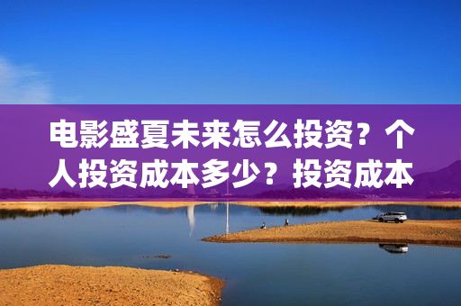 电影盛夏未来怎么投资？个人投资成本多少？投资成本多少最划算？(盛夏未来这部电影怎么样)