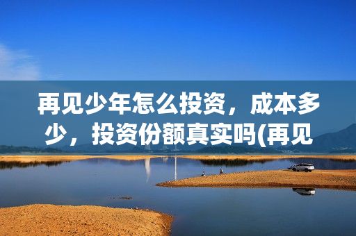 再见少年怎么投资，成本多少，投资份额真实吗(再见少年总投资是多少)